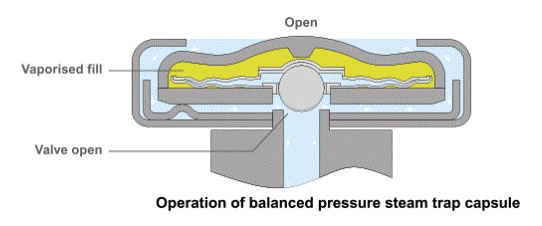 تله فشار ترموستاتیک فشار متعادل (Balanced pressure steam trap)
